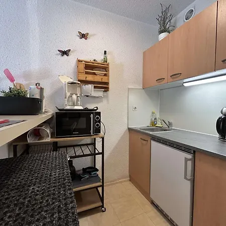 Studio Cabine 4 Pers, Terrasse, Parking, Proche Plage - Fr-1-249-421 아그